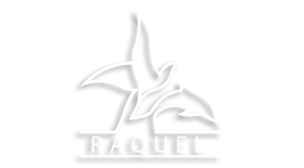 raquel